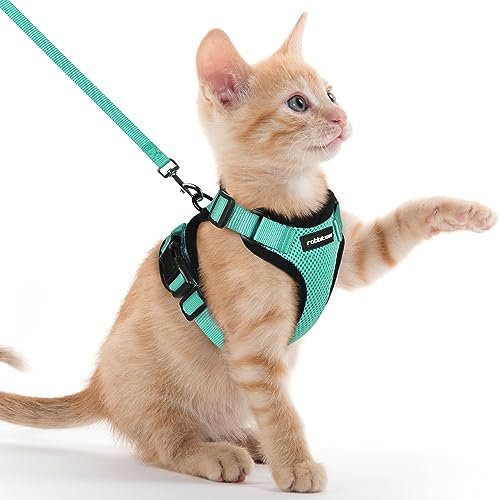 rabbitgoo Katzengeschirr mit Leine Softgeschirr für Katze Brustgeschirr Cat Harness Katzengarnitur ausbruchsicher verstellbar Katzenweste Grün XXS