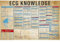 Warnschild Ekg-Wissens-Diagramm-Leitfaden Für Ärzte Metall Poster Vintage Metall Wandschild Generisch Blech Blechschild Für Badezimmer, Geschenk, Bar 30x40cm