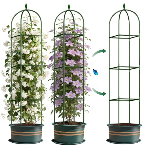 Garten Obelisk Rankhilfe für Kletterpflanzen Outdoor, Tomatenkäfig, Rose, Blumen, Traube, Erbse, Gurke Rankgitter, Rostfrei Kunststoffbeschichtetes Metall Pflanzenstütze Rankgitter für Topfpflanzen