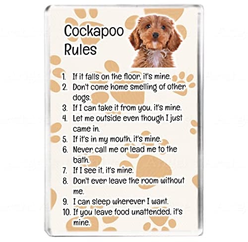 Cockapoo Rules - Funny Pet Owner Quote - Dog Mum/Dad - Fridge Magnet - Novelty Gift