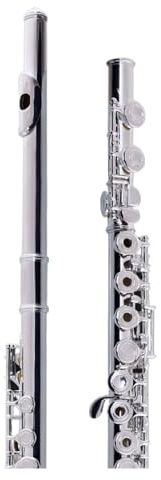 Flauto traverso flauto per principianti Flauto 17 fori argentato/chiavi francesi/bocchino argento