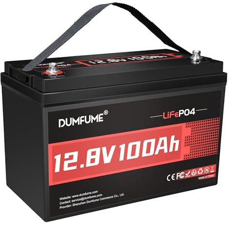 Dumfume 12V 100Ah LiFePO4 Lithium Batterie mit 100A BMS, Bis zu 15000 Zyklen, 1.28kWh, Hohe Energiedichte, Ideal für Wohnmobile, Wohnwagen, Boote, und Off-Grid Anwendungen