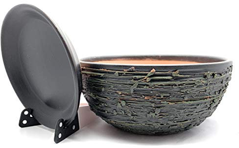 Sun Cakes Ceramic Plant Pot Glazed with Saucer Round Terracotta with Drip Tray Flower Pot Clay Coloured Flower Pot Antique Shallow (20cm x 9cm, Black/Green Matt)