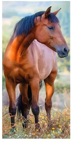 damaloo Kinderhandtuch 30x50cm mit braunem Pferd aus Baumwolle für Kinder - Händetuch für Mädchen & Jungen - Gästehandtuch, Gesichtstuch und Handtuch - Kleiner Waschlappen 30x50 cm