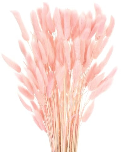 QUARKZMAN 120pcs Queue de Lapin Naturelle Fleurs séchées 17 Mini Herbe de Pampa Lagurus Ovatus Bouquet pour Décoration Florale Mariage Noël, Rose Foncé