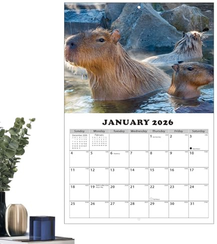 13-Monats-Kalender Für Die Wand 2026-2027 - Capybara-Motiv Anti-Tintenverlauf Terminplaner | Kalender Planer 2026-2027 Für Die Wand Mit Julianischen Daten | Zur Organisation Von To-Do-Listen Zielen Un