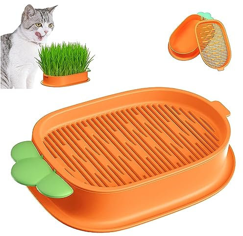 ZXCVWWE Katzengras Pflanzkasten, Katzengras, Katzengras für Indoor-Katzen, Katzengras, Kunststoffschale, Katzengras, erdfreie Katzenpflanzbox, Kindergarten, Katzenpflanze für Katzen, Hunde und andere