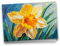 Ideen mit Herz Diamond-Painting-Grußkarte | Din B6 (11,5 x 16,5 cm) | 370 g/m² | inkl. Umschlag & Werkzeug (Narzisse)