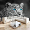 Vlies Fototapete Tier Leopard - Foto Tapete Schlafzimmer Wohnzimmer Moderne Vliestapete 250 x 175 cm Wandtapete Bildtapete 3D Effekt Wand Dekoration