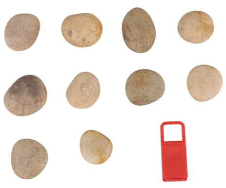 SEWOART 1 Set/10 Stück Bemalte Zeichensteine Für Kinder Zum Selbermachen Natürliche Kieselsteine Mit 1 Halterung Für DIY-projekte Zu Hause Schule