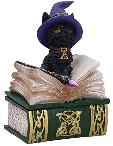 Nemesis Now Binx Small Witches Familiar Black Cat and Spellbook Figurine Box, Grün, 11 cm