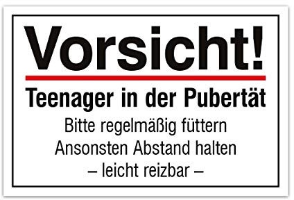 Aluverbund Hinweis Schild 30x20cm Wetterfest Kratzfest Rostfrei UV beständig - Vorsicht Teenager