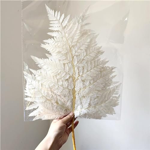 Preserved Real White Ferns Leaf, Dried Flowers Fern Tips Stems Home Decor DIY Wedding Garlands Gift Decoration, Natural Flower Plant, White