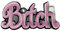 COOLLA Gürtelschnalle für Damen - Bitch Western Rodeo Texas Cowboy große Gürtelschnallen, rose, 9 cm
