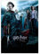 Displate Offiziell Harry Potter MetallPoster Magnetische Befestigung Inklusive Lizenziert Bilder Hochwertiges Poster Goblet of Fire s - HP4 Poster 45 cm x 32 cm