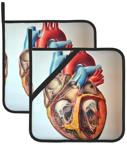 Human Anatomy - Presine a forma di cuore per barbecue, presine resistenti al calore, cuscinetti caldi, cottura al forno (confezione da 2)