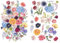 Joeyan Möbel Aufkleber, Blumenstrauß Rub On Sticker transferfolie für Kunsthandwerk, 2 Große Blume 42x30cm, DIY Home Decal auf Holz Glas Metall Porzellan Papier Kunststoff, blühende Blumen