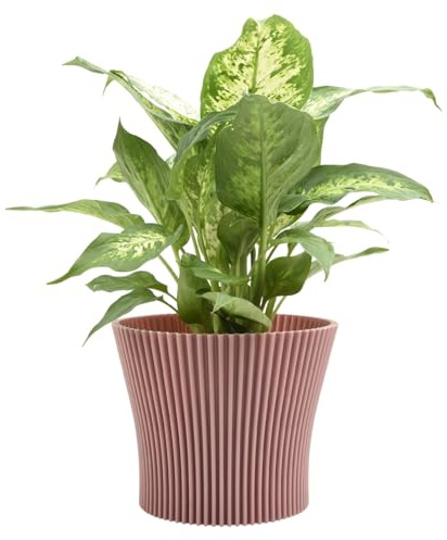 B2C Matt Ribbed Flower Pot – Modern Flared Conical Planter with Pleated Design, Lightweight, Indoor/Outdoor Decorative Plant Pot – Multiple Sizes & Colors (Powder Pink, 15cm)