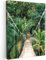 MuchoWow© Wandbilder 30x40 cm Wohnzimmer Wanddeko Schlafzimmer Zimmerdeko Fotowand Zimmer Deko Wand Dekoration Wall Art Dschungel - Palmbaum - Brücke - Natur - Grün - Pflanzen