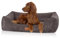 Knuffelwuff orthopädisches Hundebett aus Cord mit Handwebcharakter Nunavut M-L 85 x 63cm Braungrau - Abnehmbarer Bezug - waschbar - für große, mittelgroße und kleine Hunde