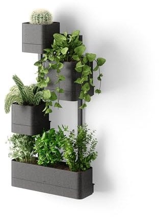 Umbra Cubiko Wandpflanzkasten, Wandhalterung mit 4 Pflanztöpfen, Schwarz