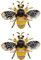 2 Stücke Biene Brosche mit Strass aus Legierung Schöne Broche Dekorative Zubehör für Kleidung Pullover Jacke Verzierung für Frauen Mädchen Damen