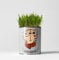 Hairy Pawter Cat Plants Grow Kit, Cat Friendly Plants Luxury Grow Kit, The Plant Gift Co. Gardening Gift; Catnip, Catmint and Cat Grass.