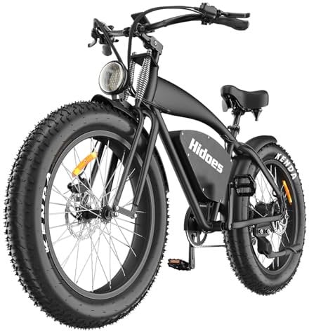 Ealirie Electric Bike 26 Fat Tire Range 40-80KM, 18.2Ah Winter Snow Beach Hill Mountain Electric Bicycle, Dual Disc Brakes & 5 Suspension for Adults Teens B3 Ebike 25km/h, 250W