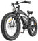 Ealirie Electric Bike 26 Fat Tire Range 40-80KM, 18.2Ah Winter Snow Beach Hill Mountain Electric Bicycle, Dual Disc Brakes & 5 Suspension for Adults Teens B3 Ebike 25km/h, 250W