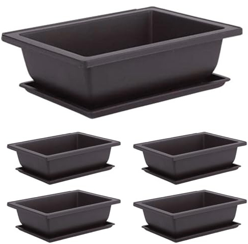 Pineeseatile Maceta Bonsai 5 Juegos Maceta Cuadrada de Plástico con Platillo Macetas para Árboles Bonsai con Bandejas Macetas de Jardín para Cultivo de Flores, L, Planta con Platillo