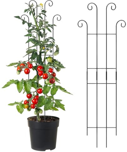 Pflanzenspalier - Metall Pflanze Vertikales Wachstum Rankgitter Monstera Kletterpfähle - für Indoor Gartentöpfe Monstera Tomaten Efeu Clematis