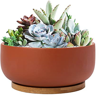Thirtypot Terrakotta-Pflanzgefäß, flach, mit Ablaufloch und Bambus-Untersetzer, 20,3 cm, Terrakotta