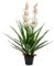 Homgoday Künstliche Orchidee Cymbidium mit Topf 100 cm grün Kunstflora