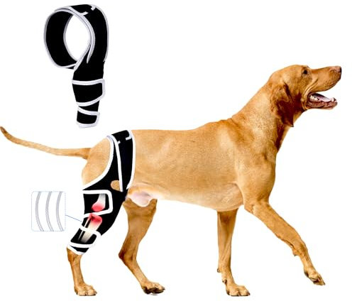 Hunde-Kniebandage für gerissenes ACL-Hinterbein, verstellbare Hunde-Kniebandagen Hinterbein oder Vorderbeine, Schmerzlinderung, Hüftdysplasie, Unterstützung CCL-Bandage für Hunde