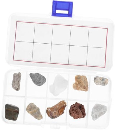 DIYEAH Geology Kit Natural Rock Specimen Set for Classroom Learning Home Exploration Includes Granite Limestone Fossils More Educational Mineral Collection for Young Scientists