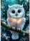 QINRUBB Eule Diamond Painting Erwachsene, 5D Fantasie Diamant Painting Bilder Anfänger, DIY Runder Vollbohrer Traumland Diamanten Malerei Stickerei Set Kreuzstich Geschenke Home Wand Dekor 30x40cm