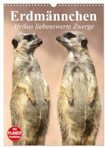 Erdmännchen - Afrikas liebenswerte Zwerge (Wandkalender 2026 DIN A3 hoch), CALVENDO Monatskalender: Die talentierten Bluffer und Buddler aus Südafrika (CALVENDO Tiere)
