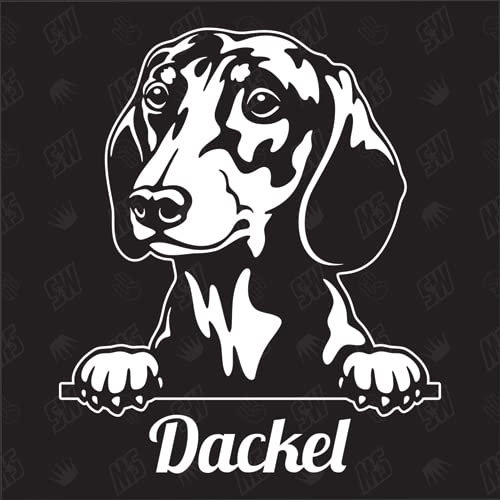 speedwerk-motorwear Dackel Dachshund Version 5 - Sticker, Aufkleber, Hundeaufkleber, Autoaufkleber, Hund, Auto, Hunderassen, Mischling, Mix, Tiere, Haustier (AUCH MIT Wunschname MÖGLICH)