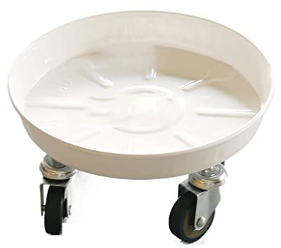 Soucoupes Pour Plantes Pot de châssis de puce de fleurs rondes rondes rond plateau de fer épais plateau ménager plante usine porte-usine avec roues Pour Les Plantes De Jardin D'intérieur Et D'extéri