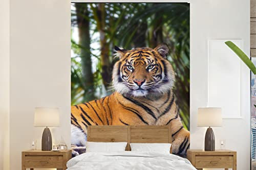 MuchoWow Papier peint Tigre - Animaux - Forêt - Jungle Papier peint photo 225x350 cm Papier peint imprimé