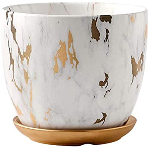 Pots en marbre de 14 cm, Pots en céramique et Plantes paléovertes, Pots en céramique pour Le Jardinage intérieur et extérieur