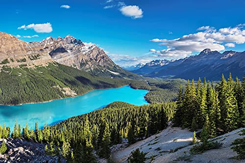 Papier Peint Photo INTISSÉ-MONTAGNE-(FP3658)-300x223 cm-Alpes Paysage Lac Forêt Prairie Fleurs Cascade Nature Murale XXL Poster Géant Affiche Décoration