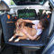 Trio Gato Backseat Extender for Dogs. Car seat Cover with Hard Reinforced Bottom & Mesh. Heavy Duty Hammock, Large Side Flaps- Full Car/SUV Protection- Doors, Backseat & Floor. Waterproof, Washable