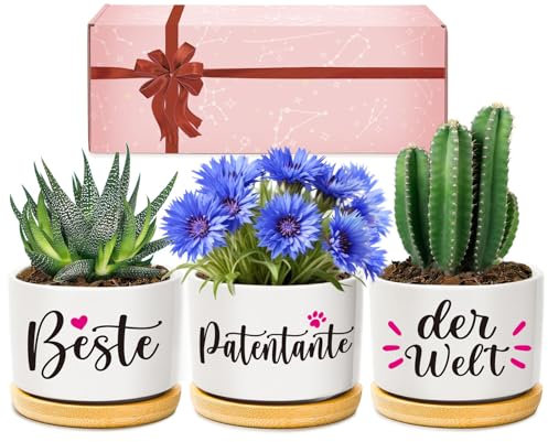 Giftasy Patentante Geschenk Geburtstag, Beste Patentante der Welt Blumentopf Kräutergarten Geschenk, Geburtstagsgeschenk