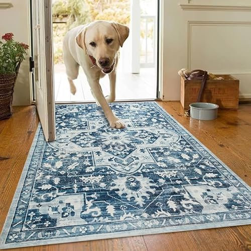 AMEHA Door Mat Indoor 80 x 150 cm Vintage Entrance Floor Mats Non Slip Washable Doormats Outside Dirt Trapper Heavy Duty Doormat Low Profile Super Soft Front Door Mat (Tranquil)