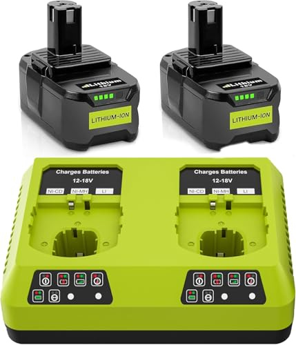 2X 18V 5,5Ah Ersatzakku für Ryobi One+ Dual Port 6A P118 Ladegerät Kompatibel für Ryobi P108 RB18L50 RB18L25 RB18L40 RB18L20 RB18L15 RB18L13 P102 P103 P104 P105 P106 P107