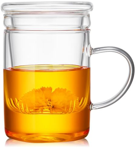 Unbreakable - Glass Tea Cup with Infuser and Lid - 17oz Mug for Loose Leaf Tea, Infusion Mug with Filter and Glass Lid
