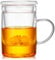 Unbreakable - Glass Tea Cup with Infuser and Lid - 17oz Mug for Loose Leaf Tea, Infusion Mug with Filter and Glass Lid
