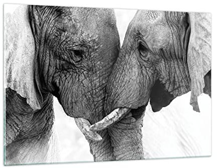 Bilder auf Glas 120x80cm Wandbild Glasdruck Afrika Schwarz-Weiß - 4973