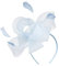 MILAX Fascinator Hochzeit Damen Elegant Fascinator Haarreif Für Hochzeit Cocktail Hochzeit Braut Kopfschmuck Kopfschmuck Feather Veil Mesh Headband 1920s Veil Fascinator Hat for Women